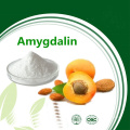 Supply Bitter Apricot Kernel Extract Powder 98% Amygdalin